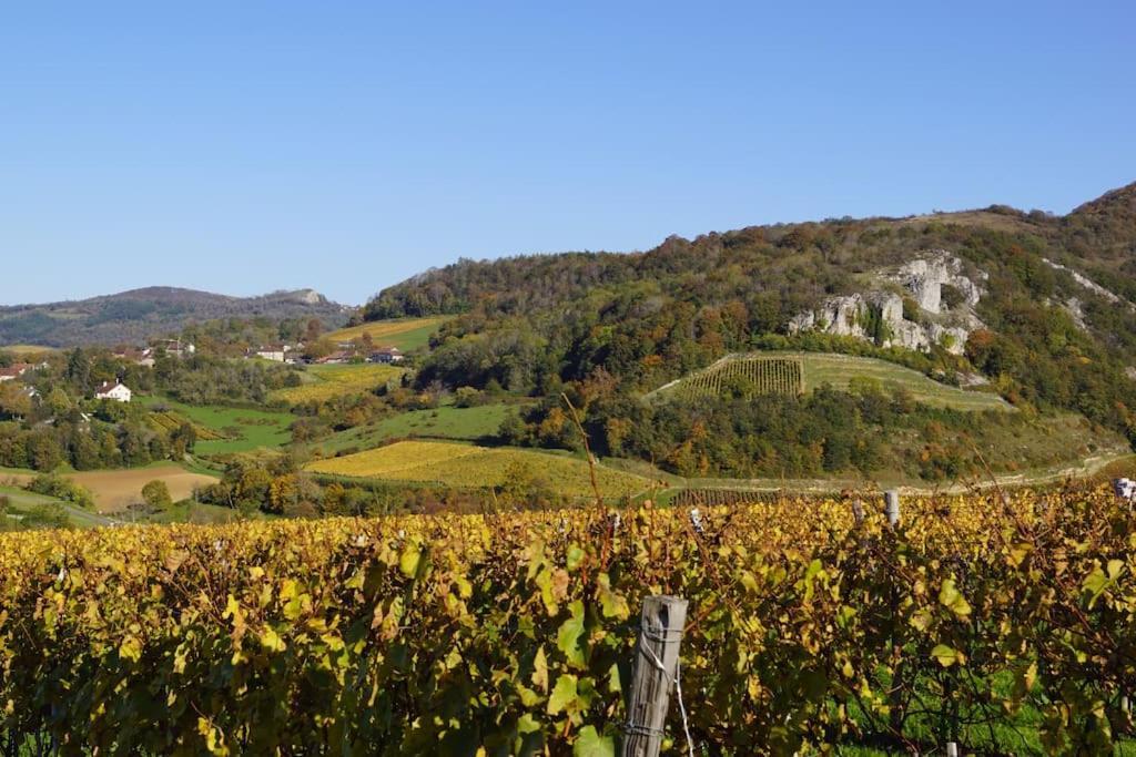 Petite Longere Du Clos Madeleine Vincelles  Eksteriør billede